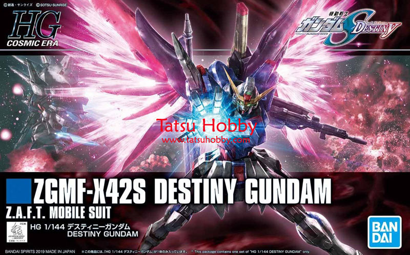 HG Destiny Gundam (Revive ver) - Click Image to Close