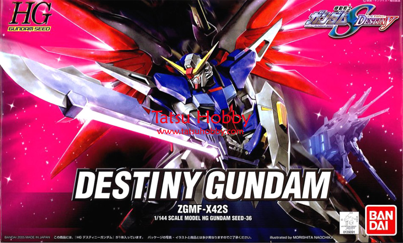 HG Destiny Gundam - Click Image to Close