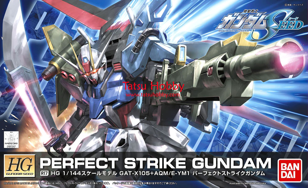 HG Perfect Strike Gundam - Click Image to Close