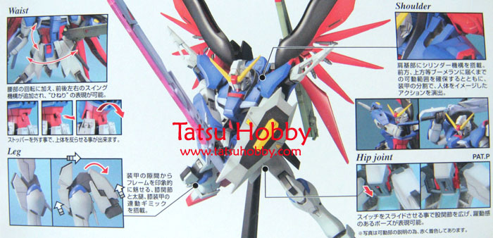 MG Destiny Gundam - Click Image to Close