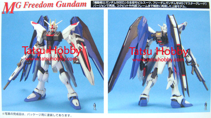 MG Freedom Gundam - Click Image to Close