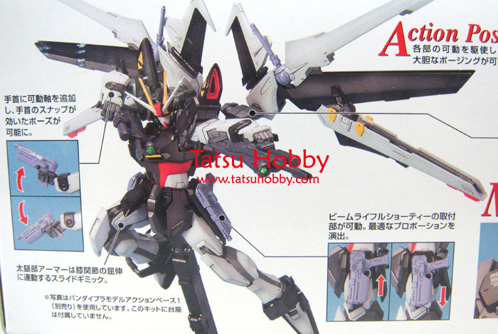 MG Strike Noir Gundam - Click Image to Close