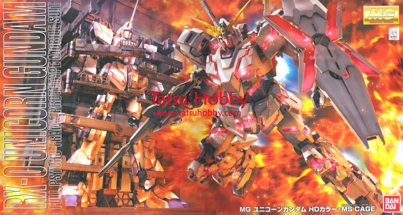 MG Unicorn Gundam OVA ver Special Pack - Click Image to Close